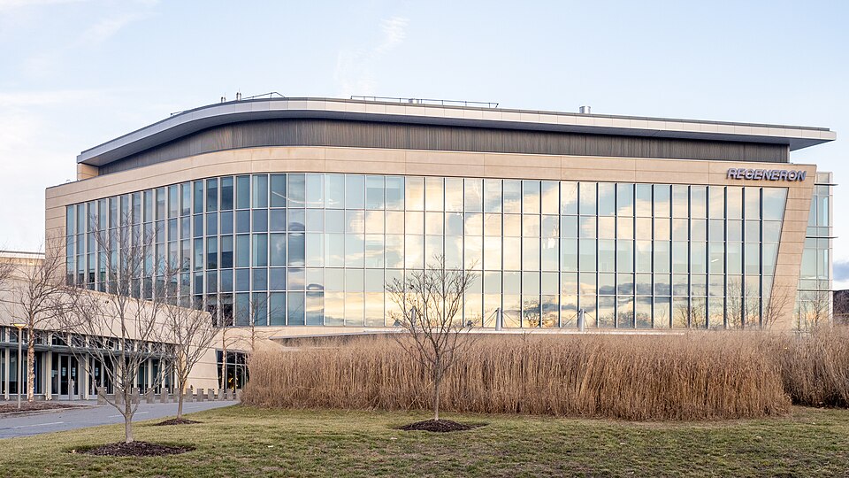 A glass-fronted Regeneron office building with the company's name on its corner, behind tall dry grasses on a winter afternoon in Westchester County, New York